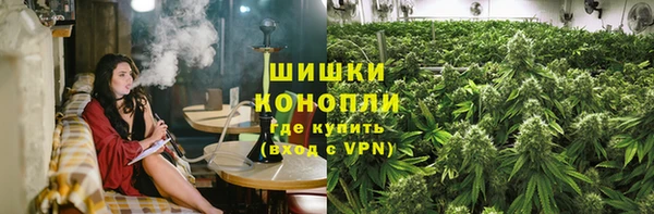 PSILOCYBIN Бородино